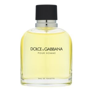 Dolce & Gabbana Pour Homme toaletná voda pre mužov Extra Offer 125 ml