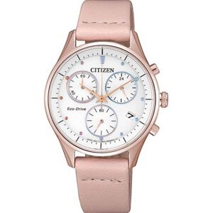 Citizen Eco-Drive FB1443-08A