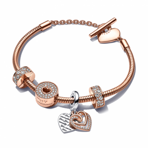 PANDORA pozlátený náramok Krásne výročie 589285C00+781062C01+781977C01+2x781817CZ