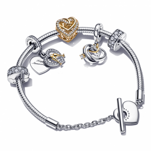 PANDORA náramok Z lásky 599285C00+799319C01+769270C01+799322C01+2x791817CZ