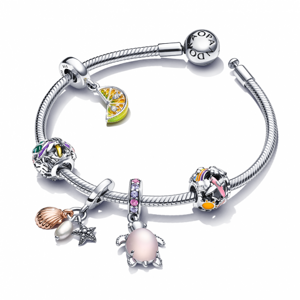 PANDORA náramok Adventure 590728+791696C01+791695C01+791620C01+798939C02+781690C01