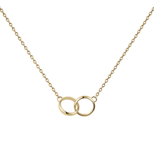 DANIEL WELLINGTON dámsky náhrdelník Elan Unity DW00400219