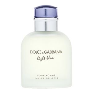 Dolce & Gabbana Light Blue Pour Homme toaletná voda pre mužov 75 ml