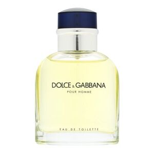 Dolce & Gabbana Pour Homme toaletná voda pre mužov 75 ml