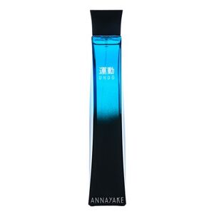 Annayake Undo Pour Homme toaletná voda pre mužov 100 ml