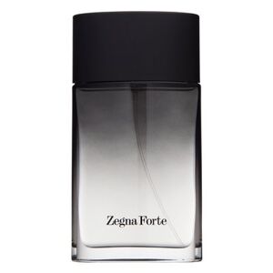 Ermenegildo Zegna Zegna Forte toaletná voda pre mužov 100 ml