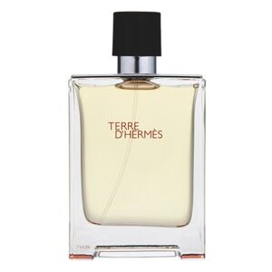 Hermes Terre D'Hermes toaletná voda pre mužov 100 ml