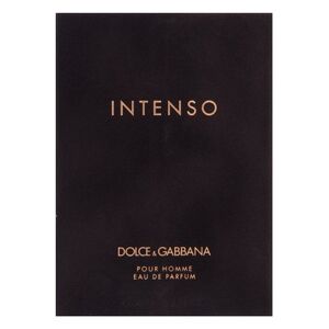 Dolce & Gabbana Pour Homme Intenso parfémovaná voda pre mužov 125 ml
