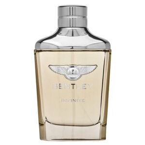 Bentley Infinite toaletná voda pre mužov 100 ml