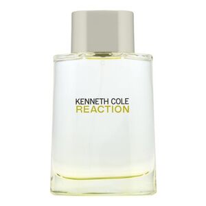 Kenneth Cole Reaction toaletná voda pre mužov 100 ml